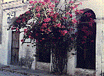 [Street lined with old mansions leading into the church plaza in Alamos, Mexico: 11k]