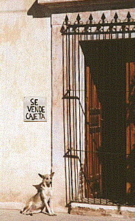 [Sign for cajeta for sale on a colonial building in Alamos, Mexico: 33k]