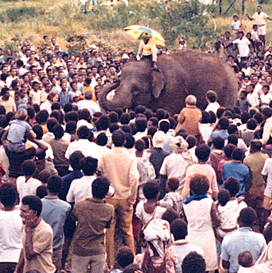 [The elephant, with trunk raised, is surrounded by locals in regular Western dress. One man sits astride with a yellow and blue umbrella.: 106k]