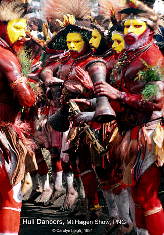 [2 lines of Huli dancers face each other, the men wear hair wigs decorated with Bird of Paradise feathers, yellow face paint, red bodies, they beat hourglass shaped hand drums: 270k]